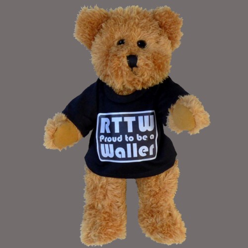 2018 Teddy