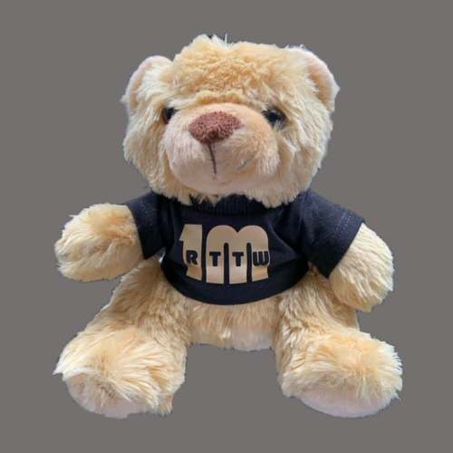 2020 Teddy