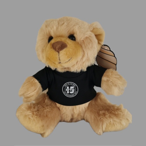 2022 Teddy