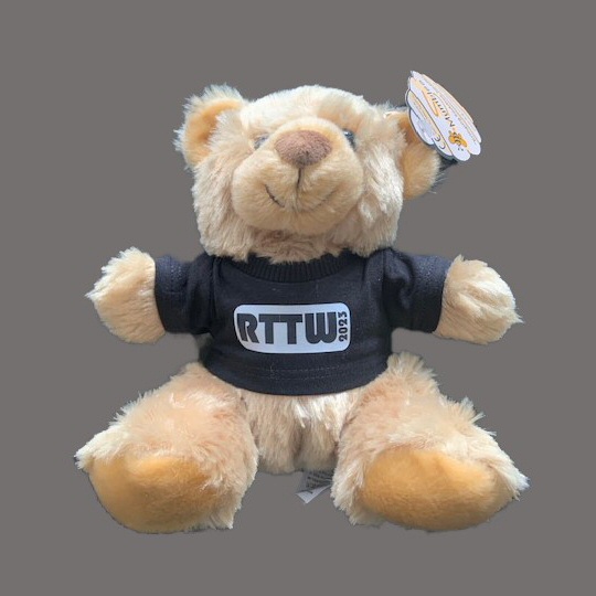 2023 Teddy
