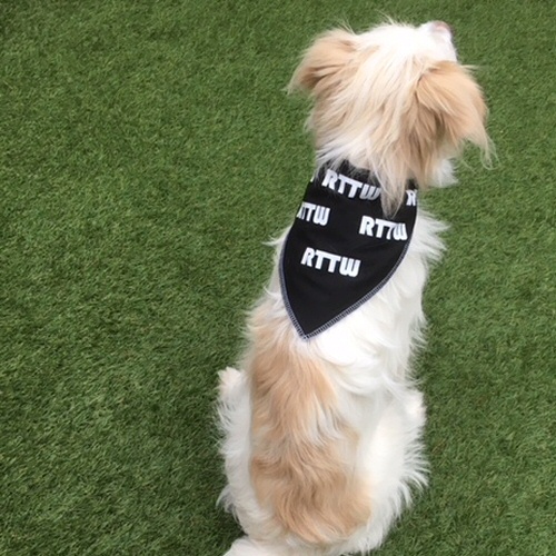 Dog Bandana - Large